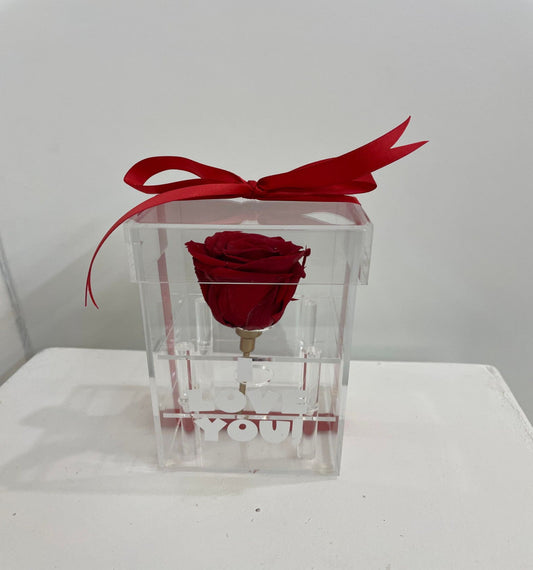 Fleurs Séchées 1005