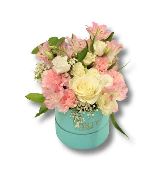 Gentle Hug " Petite boîte 5 po "