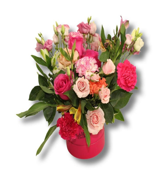 Aime-moi! "Petite boîte 5 po"