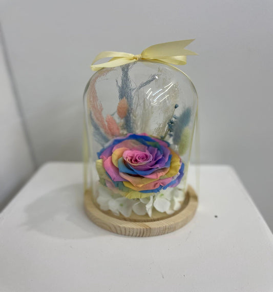 Fleurs sèches 1006