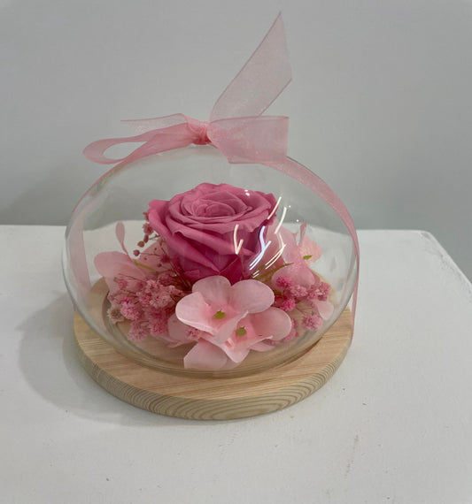 Fleurs sèches 1004